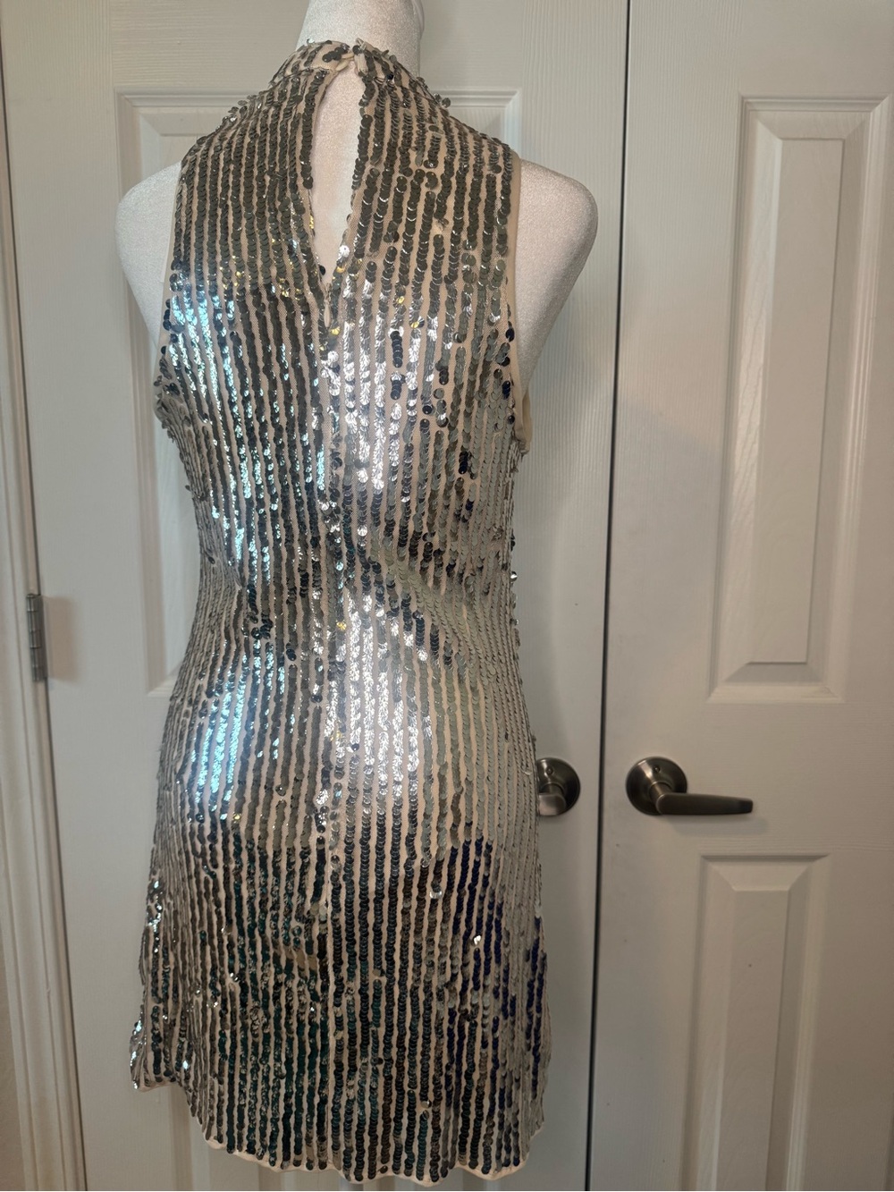 Mademli Boutique NWT Silver Sequin Mini Dress Size Small Nude Mesh Lining - Picture 7 of 9
